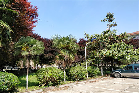 赔钱卖！一线河景房!香江帝景送40万精装！有证可按揭